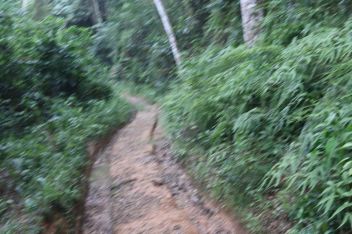 IMG_0241-min.JPG