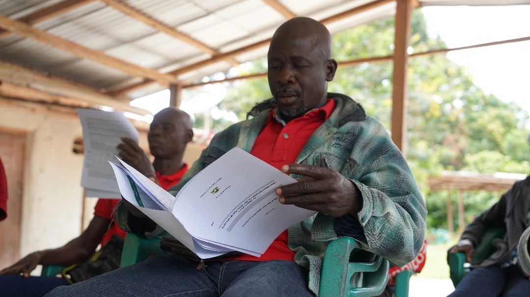 Les producteurs de cacao s’engagent pour la restauration des agro-forêts du PIF2