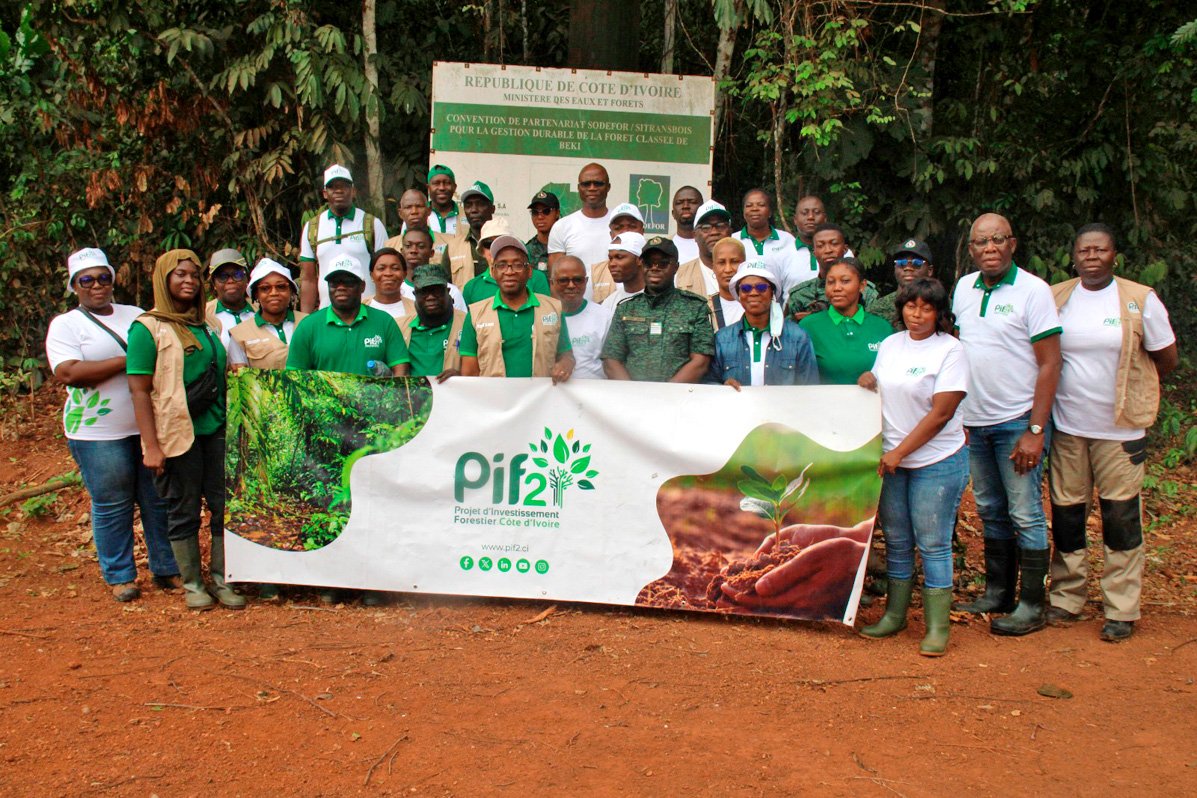 PROMOTION DE L’AGROFORESTERIE : Les acteurs de mise en œuvre du PIF 2 visitent les parcelles agroforestières dans la Forêt Classée de Béki dans le département d’Abengourou.
